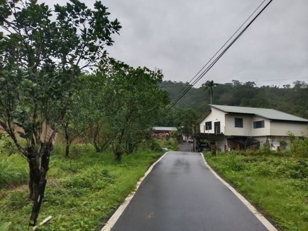 雙溪區后番子坑古道+后番子坑山+平湖東步道+大坑山+下內平林山+上內平林步道出平水2972927