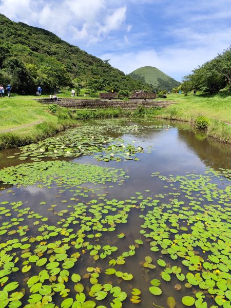 二子坪、二子山西峰、二子山東峰、大屯自然公園、菜公坑山、陽明山前山公園【臺北大縱走 1&2】2540931