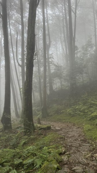 20240825小百岳稍來山2584169