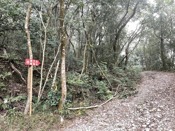 小百岳｜高雄茂林鳴海山1606716