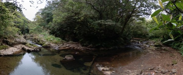 雙溪區打鐵寮山-鶯子嶺-坪溪山-烏山63號-烏山越嶺古道(坪溪山北峰)P字走3023801