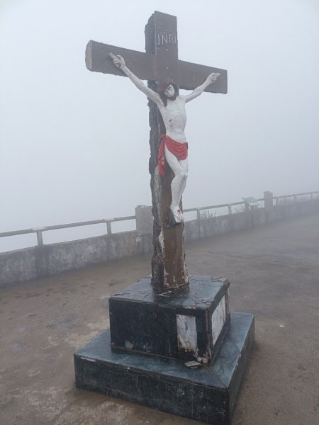 迷霧抹茶山1712746