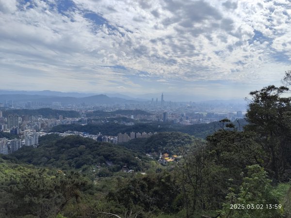 內湖碧山巖 櫻花隧道2724221