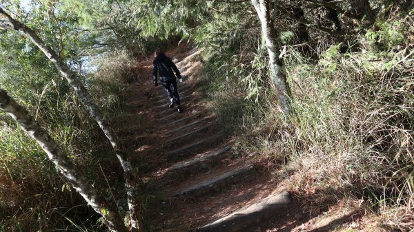 東埔山登山健行趣(中級山)2031796