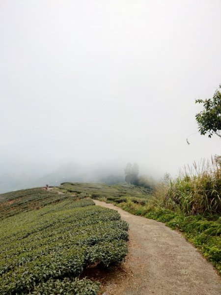 嘉義五連峰910854