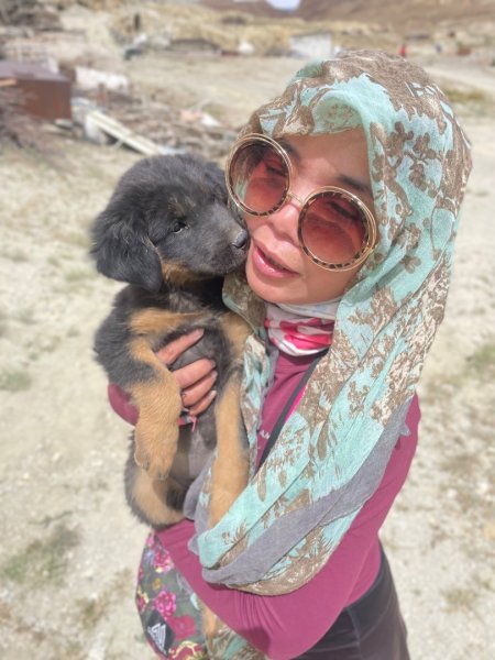 西藏♥️可愛動物🐎人物寫真/拉薩旅拍/美食2902910