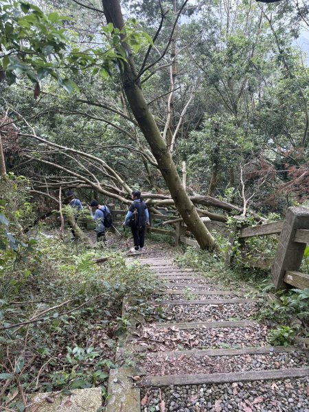 20251024雲嘉五連峰+碧湖山2924222