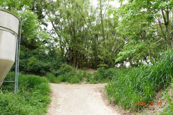 苗栗 銅鑼 大薰山1677700