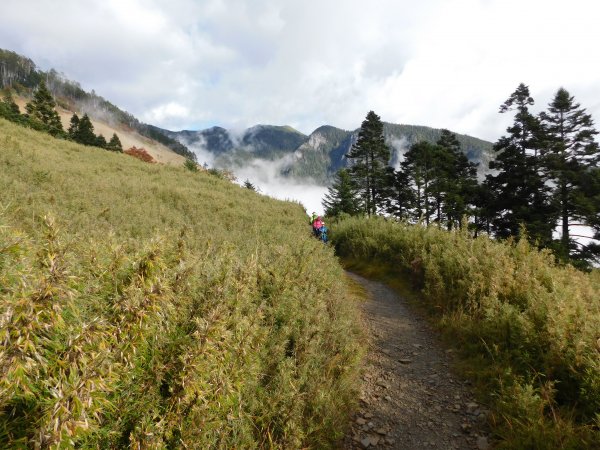 國慶日走雪主東464529