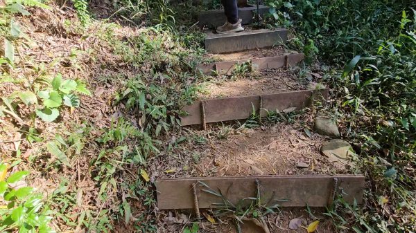 20251215林口森林步道+太平嶺海濱步道2969371