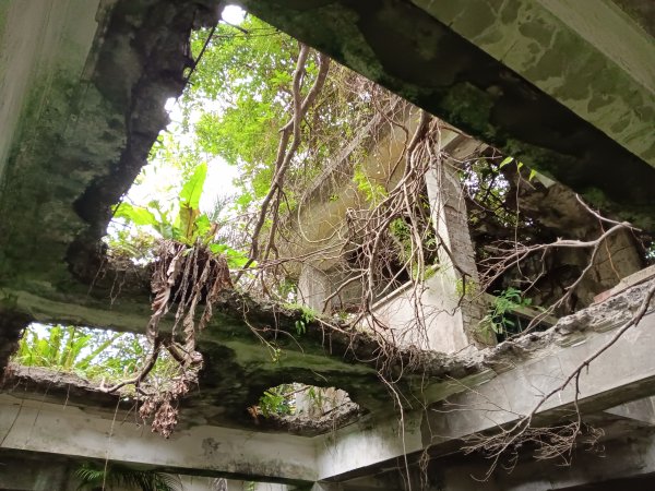 微笑山線和美山螢火蟲段2986173