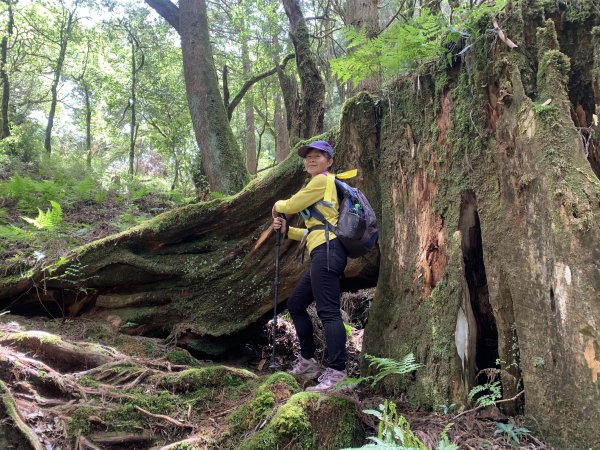 20250517義義兒玉山-東水山2791650