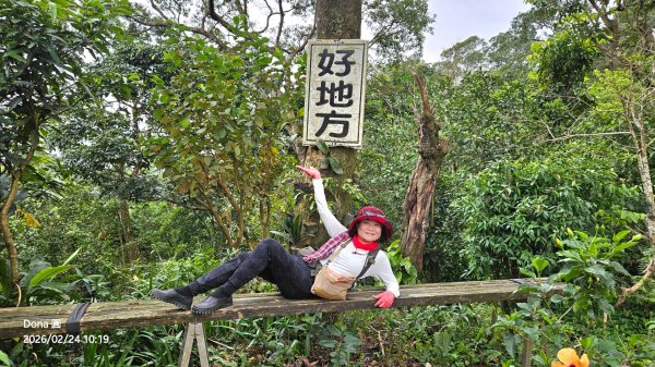 圓通寺烘爐地登山步道大O走3007006