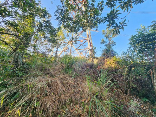 20260214磨碧潭山(坪林上三角崙山失敗中途撤退)回程順遊大尾山步道鬼子瀨尖3010918