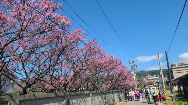 2025-0130溪和宮-大崎頭步道-鵝尾山-平溪步道-鵝尾山水田-42巷-溪山百年古圳-平菁步道2701840