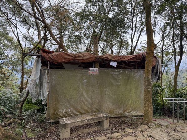 [微笑山線_第四段] 2026_0321 天上山系_三粒半3021078