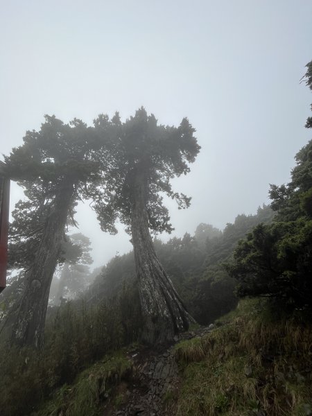 聖稜線I 2023_0525(D3-1) 雪山北峰2166283