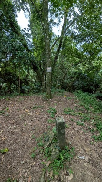 114.06.21大竹坑山-小粗坑山-石門山之旅2818874