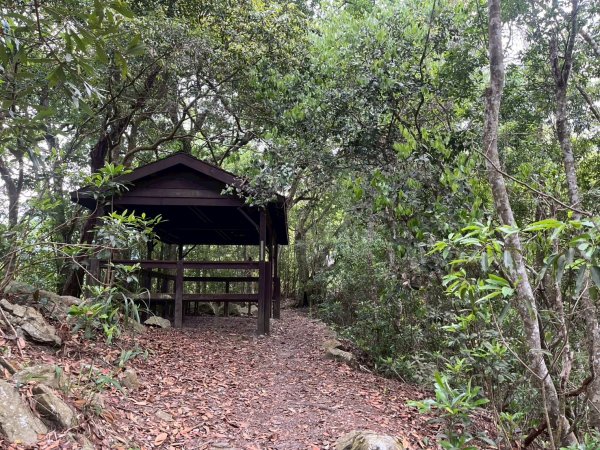 台中 和平 東卯山2771823