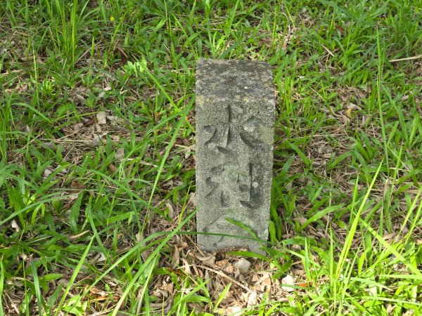 虎頭埤環湖步道（新化虎頭山）2890951