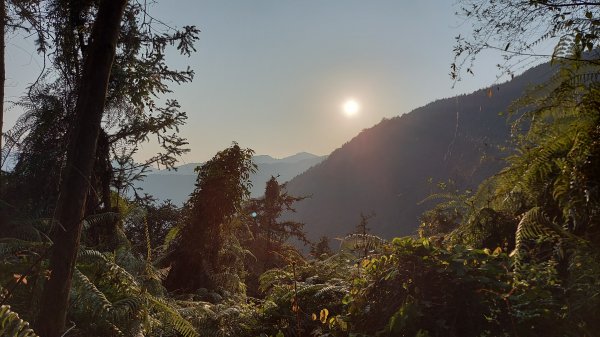 過坑山 大尖山 卓社林道O型1330334