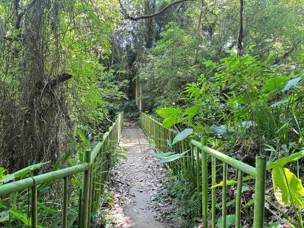 南埔村觀音步道和挑水壢古道順遊客家村落2558736