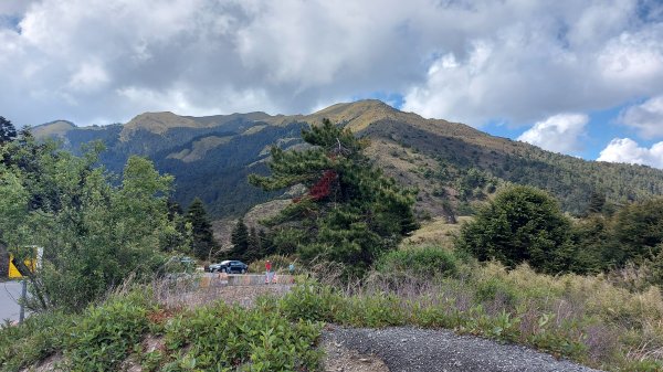 合歡山北峰1377974