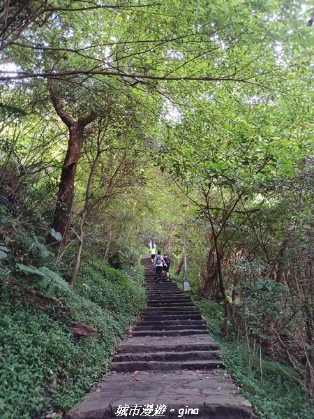 【新北八里】搭捷運公車爬山趣。 小百岳集起來。編號05小百岳-八里觀音山(硬漢嶺步道)1759647