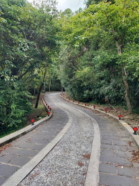 環七星山人車分道步道-陽金公路段 - 走遍陽明山尋寶任務2255028