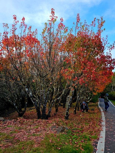 台灣難抵極與祝山觀日步道(小笠原山) - 2024嘉遊好步道．來嘉走走2670127