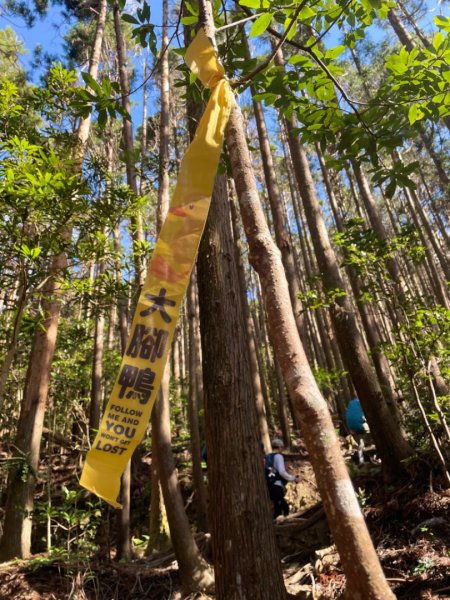 鳶嘴西稜上鳶嘴山-三崠山連走2652145