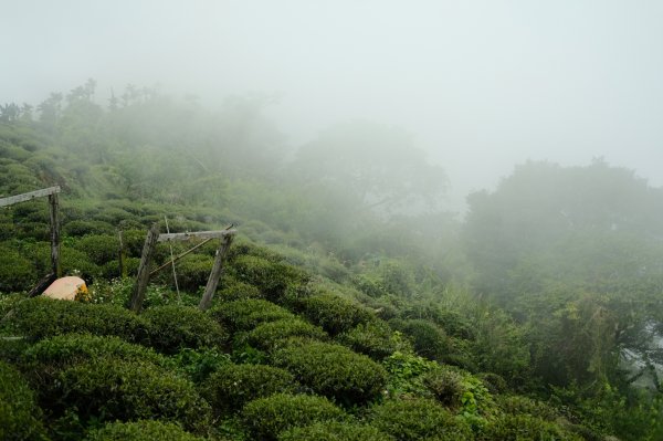 【雲林-嘉義】挑筍古道，車心崙步道897755