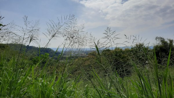 《台中》滿月望月｜霧峰望月峰獻堂登山步道環中心瓏步道及萊園202210101872975