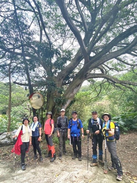 鳶山四秀我家後花園2612947