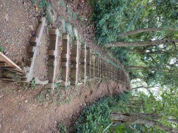 微笑山線之大棟山系2838142