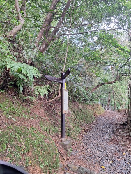 微笑山線：【五分山系】望古瀑布段+平溪小黃山段+慈恩嶺2932576