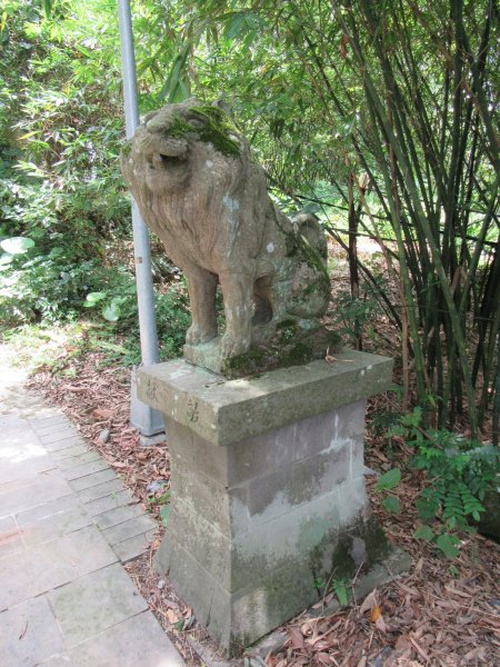 20200606-台北大縱走7986917