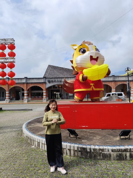 【新春賞櫻樂】平菁街42巷、宜蘭頭城火車站、二二八和平公園、東湖樂活公園3007702