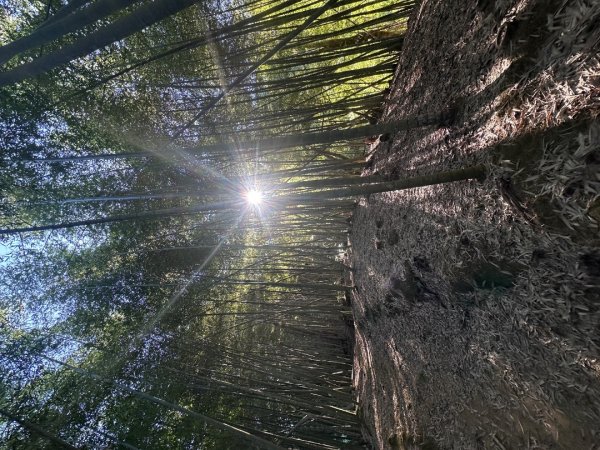 小百岳055雲林古坑-石壁山2620831