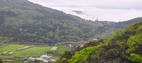 陽明山追雲趣 #天空之城 #石門嵩山梯田 #鳶尾花 #老梅綠石槽 4/5-63030198