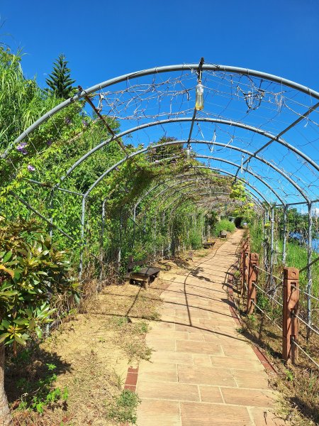 龍昇湖環湖步道+鄭漢步道202509132894812