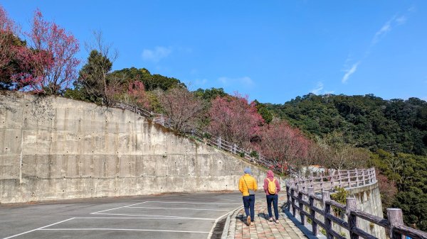 貓貍山.協雲宮,青青草原2701153