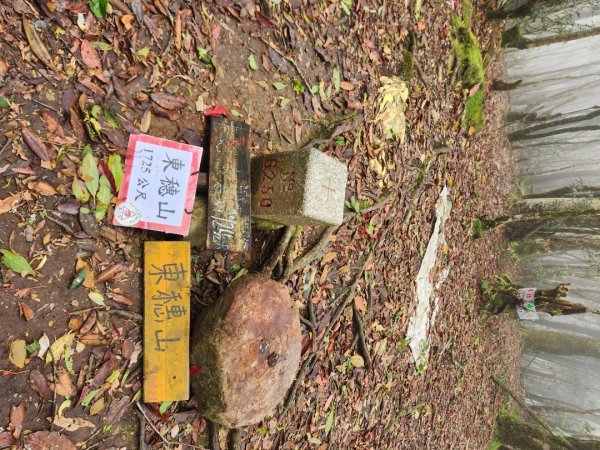 【中級山縱走】魯壁山，東穗山，大島田山，宇老觀景台2771656