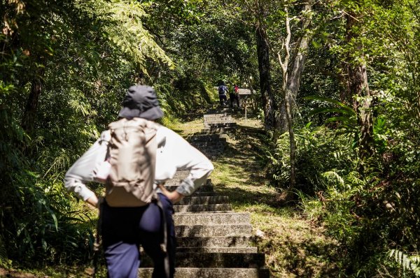 五分山｜小百岳2915432