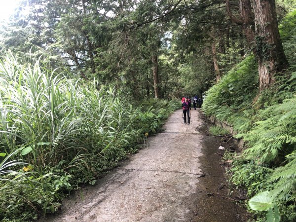 宜蘭 四季 加羅湖633824