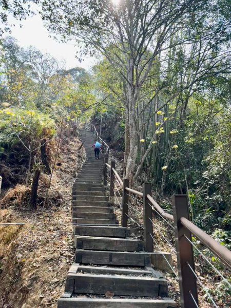 能高瀑布 福興山尋血藤3022244