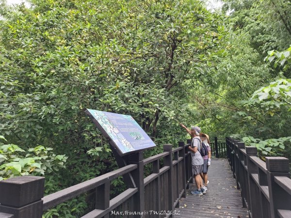 《台中》水圳視野｜烏日知高圳及雪蓮登山步道上學田山202606133074171