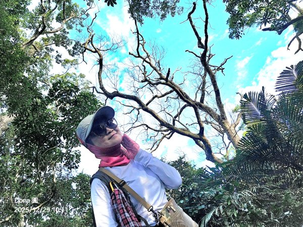 20251229石龜坑山上白石山下白石埤O走+阿姆坪2976664