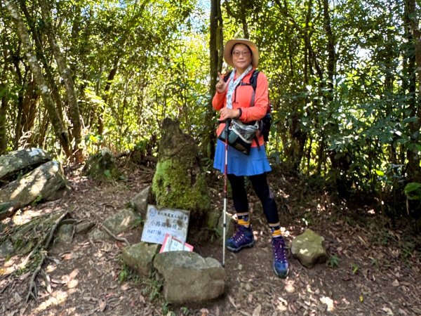 二格公園走小格頭獅頭山 千島湖看鱷魚 雲海國小爬雲海山回二格公園3134039