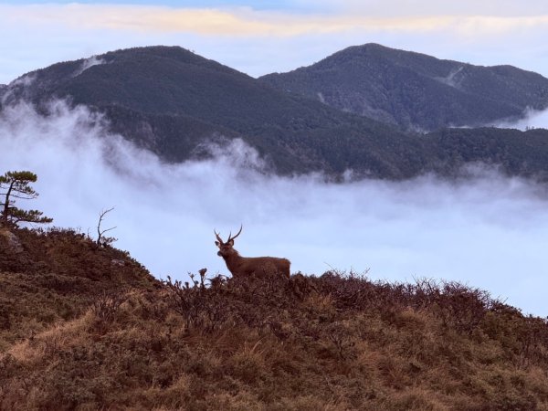 南一段20250101~052684982